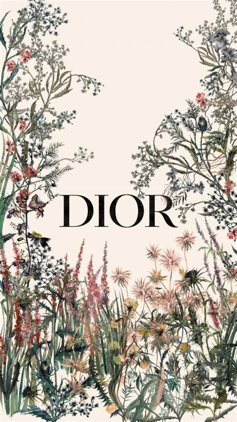 Dior Aesthetic Wallpapers 